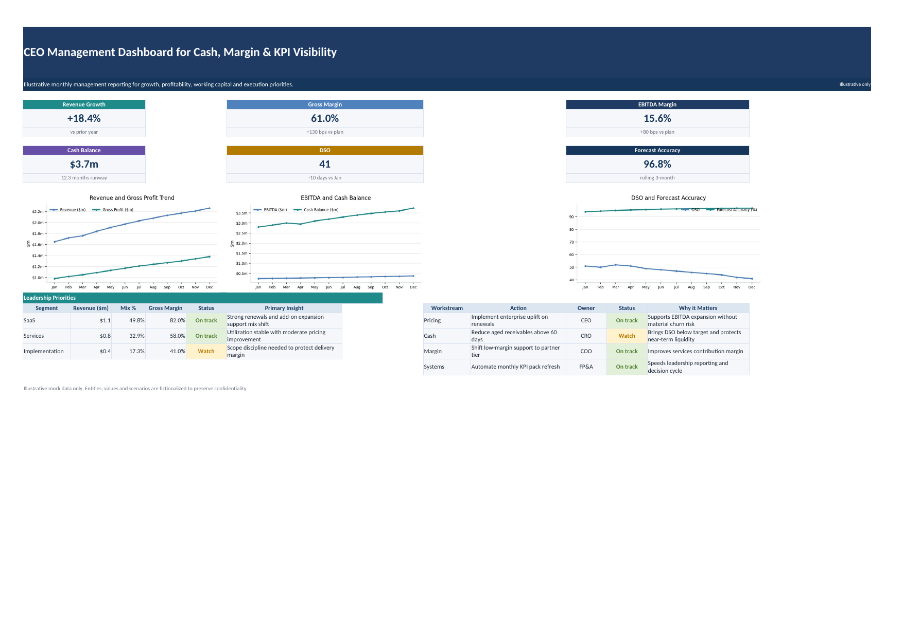 CEO Cash, Margin & KPI Visibility preview